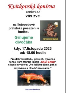 divočák 23